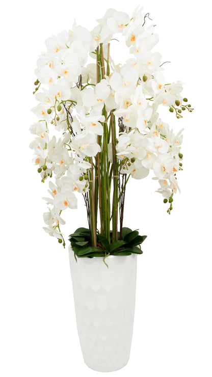 65" Orchid Square Floor Circle Vase