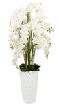 65" Orchid Square Floor Circle Vase